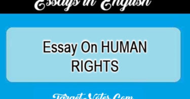 Essay On HUMAN RIGHTS