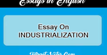 Essay On INDUSTRIALIZATION