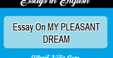 Essay On MY PLEASANT DREAM