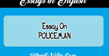Essay On POLICEMAN