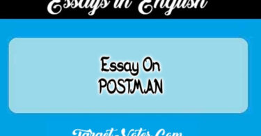 Essay On POSTMAN