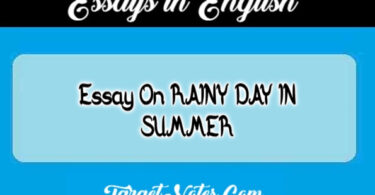 Essay On RAINY DAY IN SUMMER