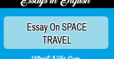 Essay On SPACE TRAVEL