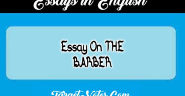 Essay On THE BARBER