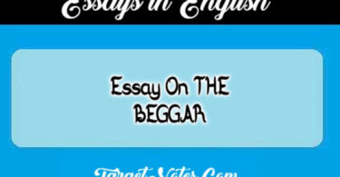 Essay On THE BEGGAR