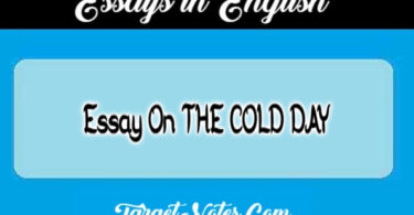 Essay On THE COLD DAY