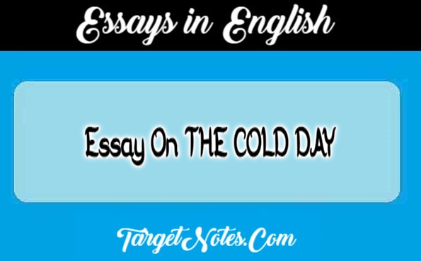 Essay On THE COLD DAY