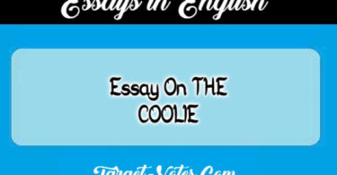 Essay On THE COOLIE