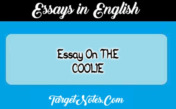 Essay On THE COOLIE