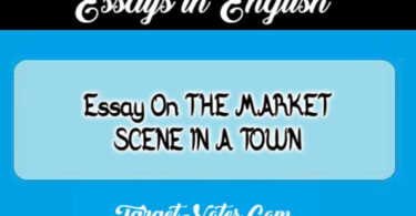 Essay On THE MARKET SCENE IN A TOWN