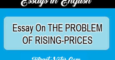 Essay On THE PROBLEM OF RISING-PRICES