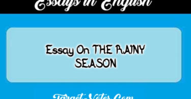 Essay On THE RAINY SEASON