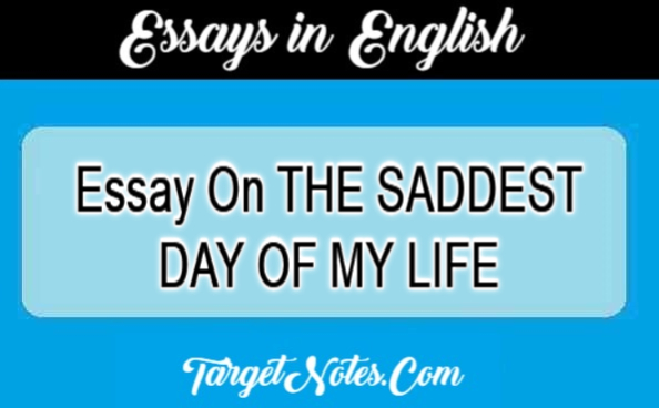 Essay On THE SADDEST DAY OF MY LIFE