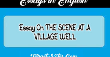 Essay On THE SCENE AT A VILLAGE WELL