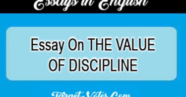 Essay On THE VALUE OF DISCIPLINE