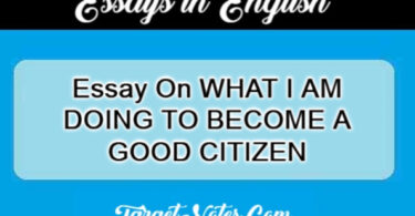 Essay On WHAT I AM DOING TO BECOME A GOOD CITIZEN