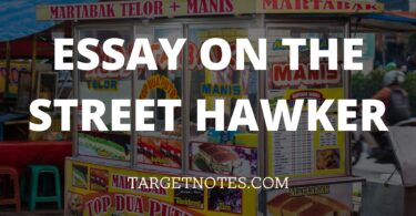 Essay ON THE STREET HAWKER