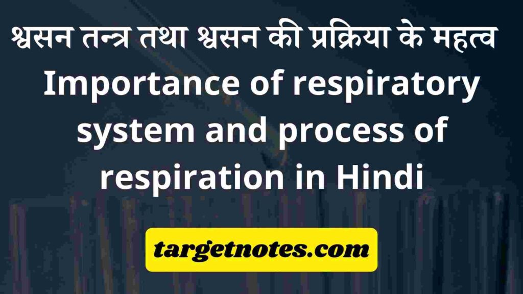 श्वसन तन्त्र तथा श्वसन की प्रक्रिया के महत्व | Importance of respiratory system and process of respiration in Hindi