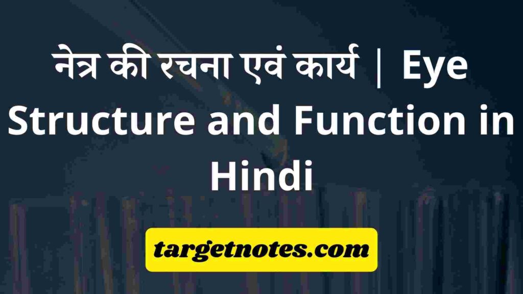 नेत्र की रचना एवं कार्य | Eye Structure and Function in Hindi