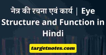 नेत्र की रचना एवं कार्य | Eye Structure and Function in Hindi