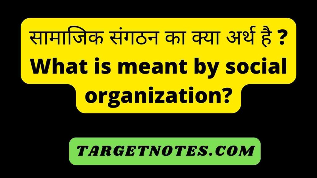 सामाजिक संगठन का क्या अर्थ है ? What is meant by social organization?