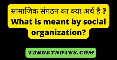 सामाजिक संगठन का क्या अर्थ है ? What is meant by social organization?