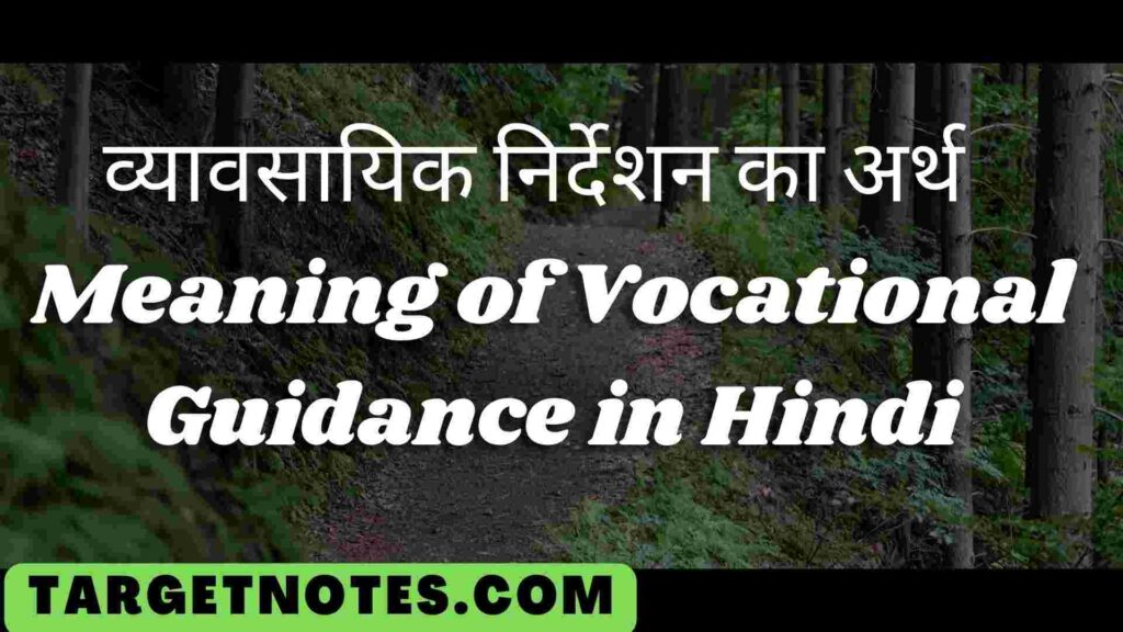 व्यावसायिक निर्देशन का अर्थ | Meaning of Vocational Guidance in Hindi