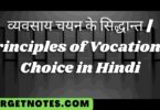 व्यवसाय चयन के सिद्धान्त | Principles of Vocational Choice in Hindi