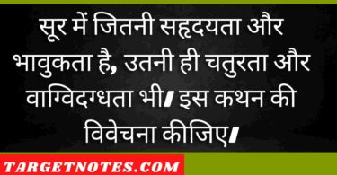 सूर में जितनी सहृदयता और भावुकता है, उतनी ही चतुरता और वाग्विदग्धता भी। इस कथन की विवेचना कीजिए।