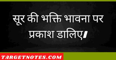 सूर की भक्ति भावना पर प्रकाश डालिए।