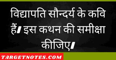 विद्यापति सौन्दर्य के कवि हैं। इस कथन की समीक्षा कीजिए।