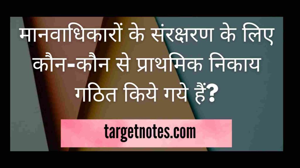 मानवाधिकारों के संरक्षरण के लिए कौन-कौन से प्राथमिक निकाय गठित किये गये हैं?