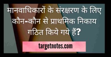 मानवाधिकारों के संरक्षरण के लिए कौन-कौन से प्राथमिक निकाय गठित किये गये हैं?