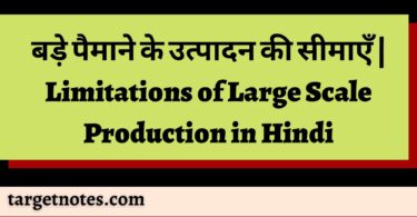 बड़े पैमाने के उत्पादन की सीमाएँ | Limitations of Large Scale Production in Hindi