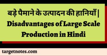 बड़े पैमाने के उत्पादन की हानियाँ | Disadvantages of Large Scale Production in Hindi