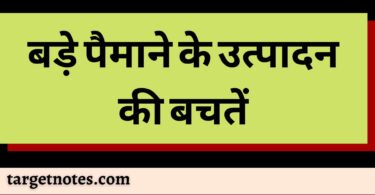 बड़े पैमाने के उत्पादन की बचतें