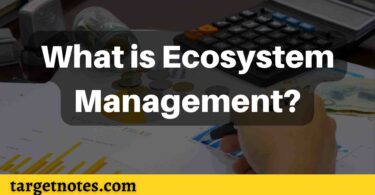 What is Ecosystem Management?