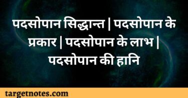 पदसोपान सिद्धान्त | पदसोपान के प्रकार | पदसोपान के लाभ | पदसोपान की हानि