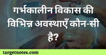 गर्भकालीन विकास की विभिन्न अवस्थाएँ कौन-सी है?