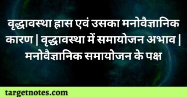 वृद्धावस्था ह्रास एवं उसका मनोवैज्ञानिक कारण | वृद्धावस्था में समायोजन अभाव | मनोवैज्ञानिक समायोजन के पक्ष