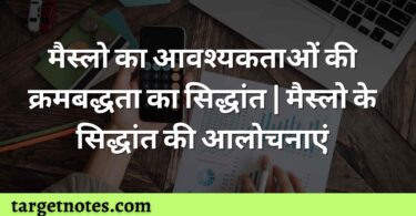 मैस्लो का आवश्यकताओं की क्रमबद्धता का सिद्धांत | मैस्लो के सिद्धांत की आलोचनाएं