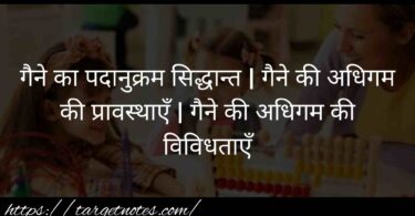 गैने का पदानुक्रम सिद्धान्त | गैने की अधिगम की प्रावस्थाएँ | गैने की अधिगम की विविधताएँ