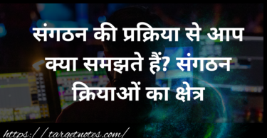 संगठन की प्रक्रिया से आप क्या समझते हैं? संगठन क्रियाओं का क्षेत्र