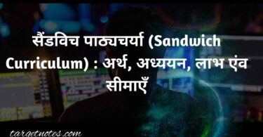 सैंडविच पाठ्यचर्या (Sandwich Curriculum) : अर्थ, अध्ययन, लाभ एंव सीमाएँ