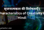 सृजनात्मकता की विशेषताएँ | Characteristics of Creativity in Hindi