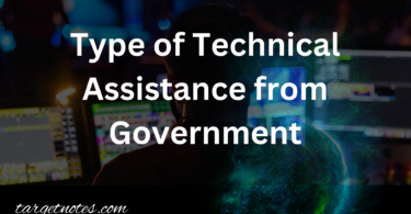 Type of Technical Assistance from Government